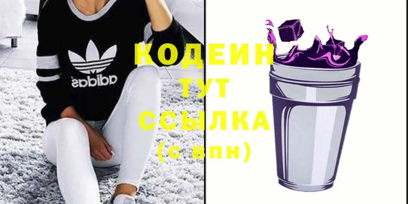 как найти закладки  Вилючинск  Кодеин Purple Drank 